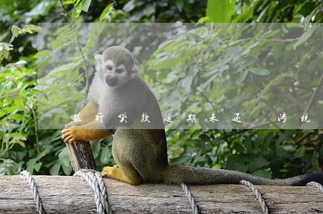 银行贷款逾期未还 涉税 银行贷款逾期未还 涉税